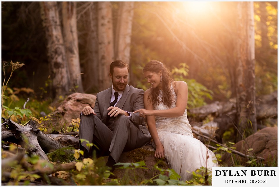 rocky mountain national park elopement wedding couple together on tree with sunset light