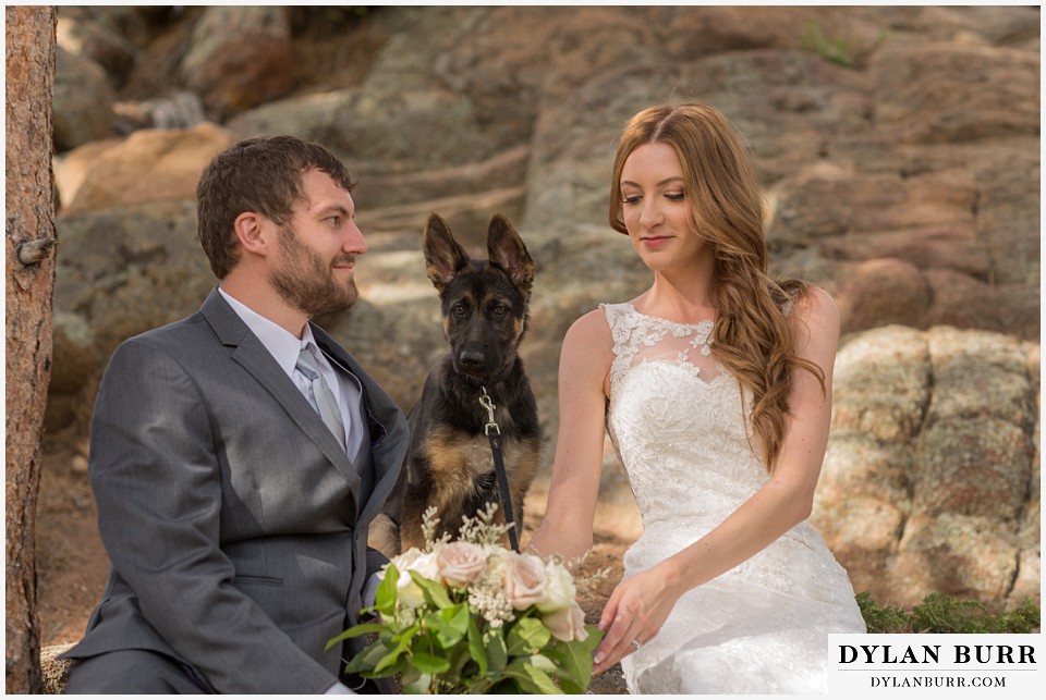 rocky mountain national park elopement wedding rmnp german shepard puppy