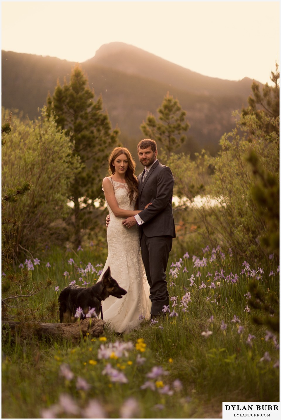 rocky mountain national park elopement wedding rmnp gorgeous sunset newlywed portrait
