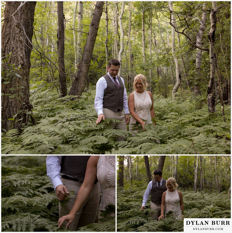 rocky mountain national park wedding elopement bride and groom exploring and surrounded by ferns