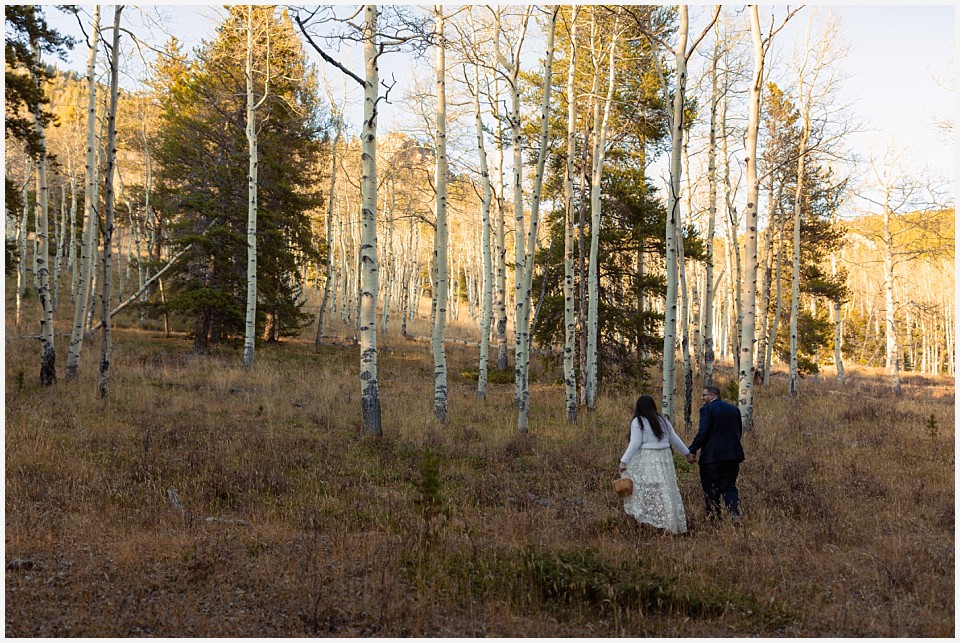 staunton state park colorado elopement wedding walking out into aspen grove