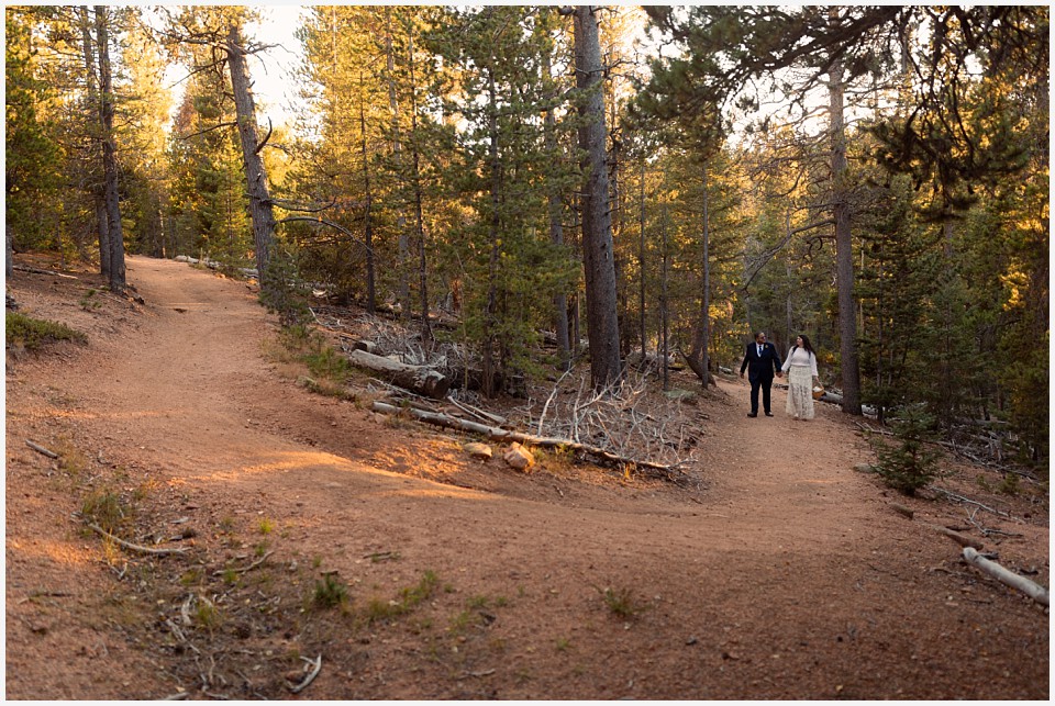 staunton state park colorado elopement wedding couple on windy mountain trail