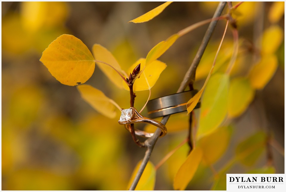 winter park mountain lodge wedding colorado wedding rings in aspen leaves