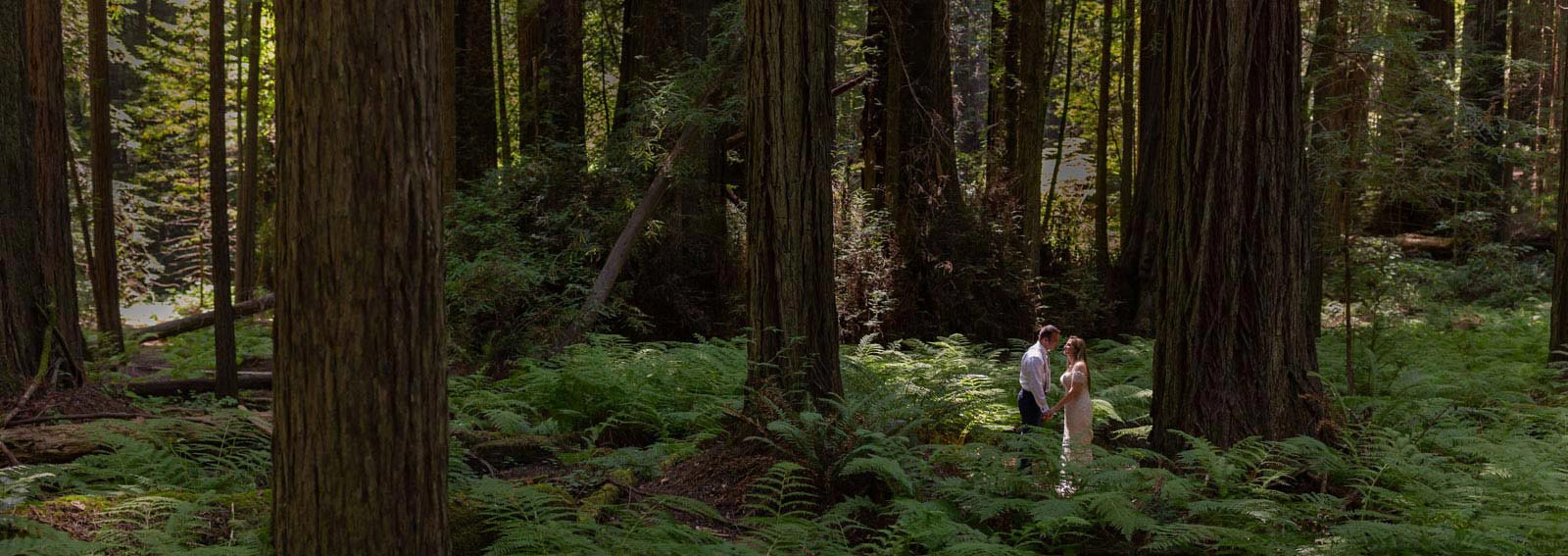 redwood forest elopement wedding California
