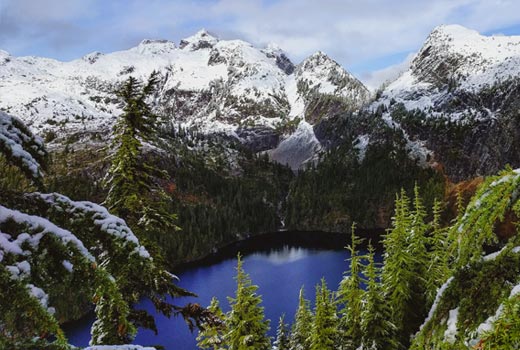 north cascades national park elopement