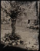 wedding tintype wetplate table setting large standing vase rustic branches earthy bohemian